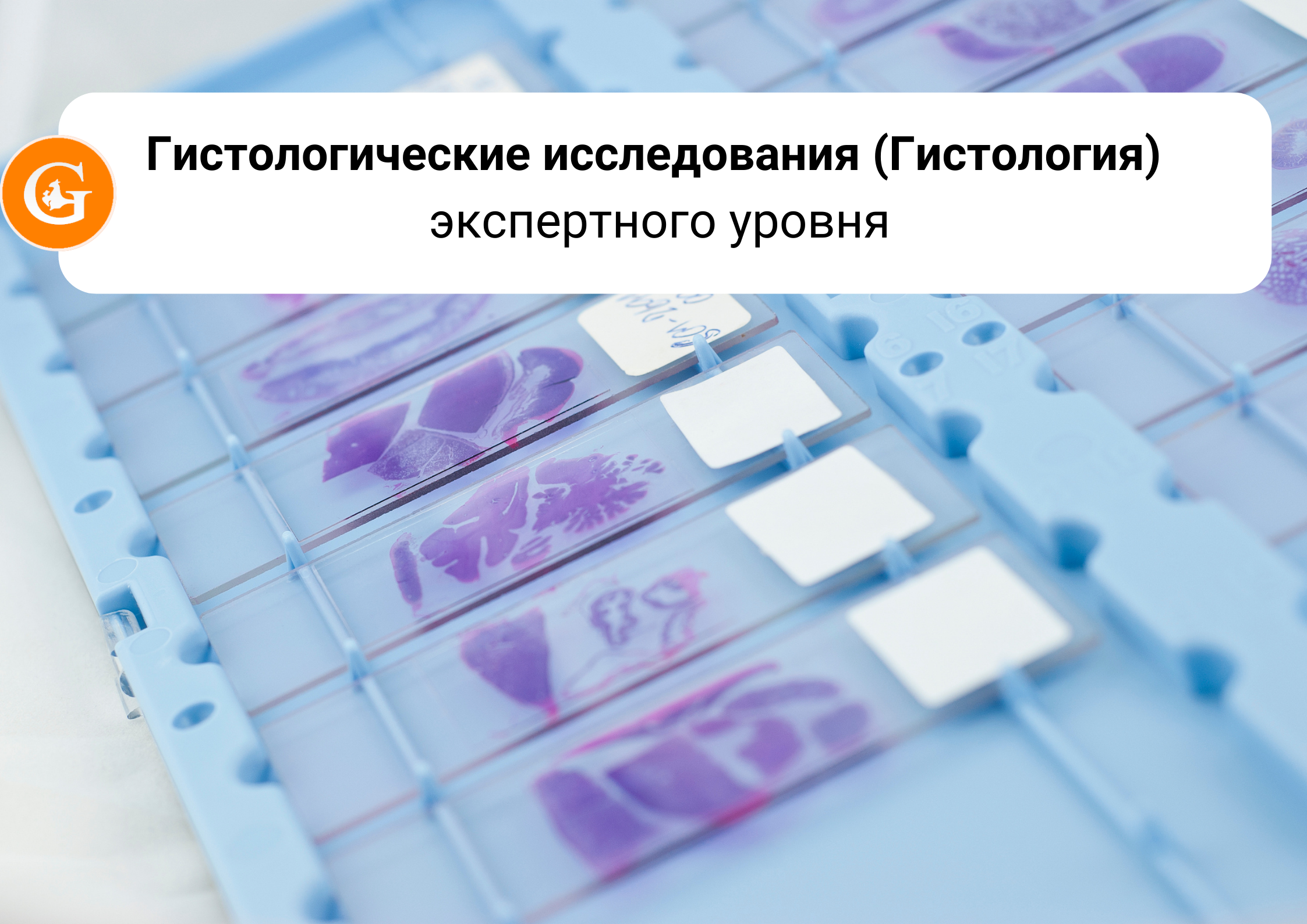 Гистологические исследования (гистология) экспертного уровня