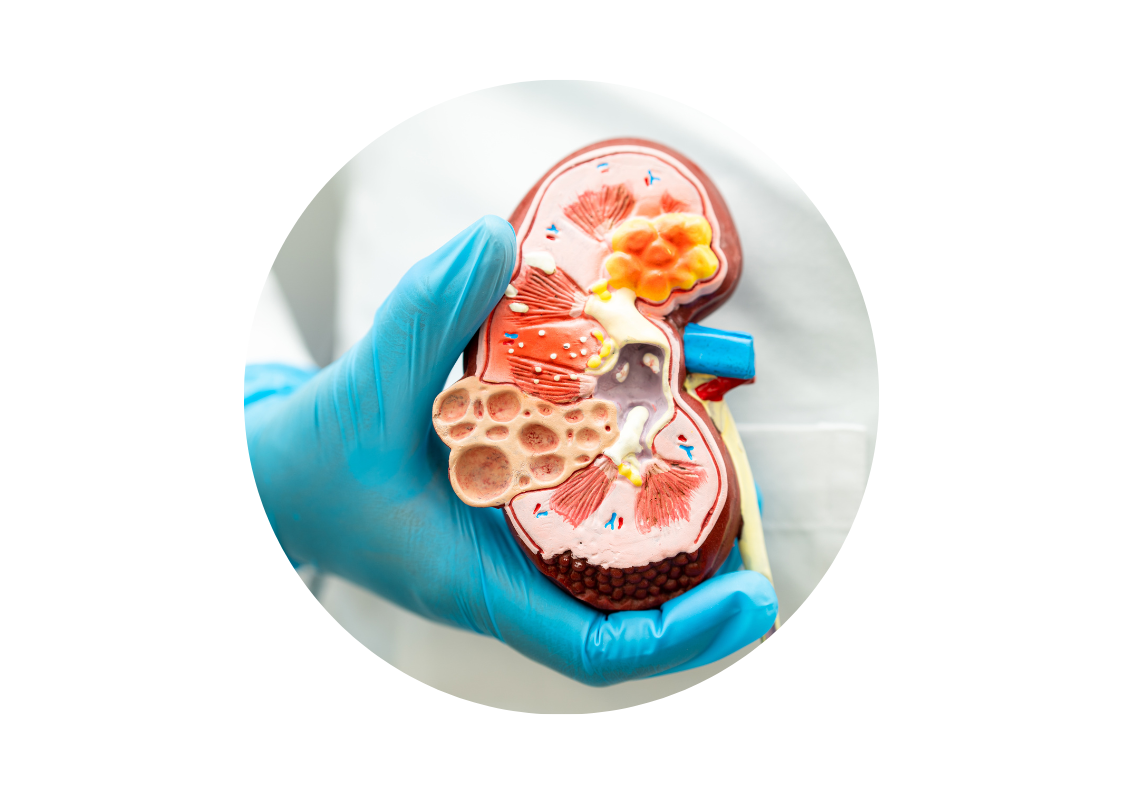 нефролог-симферополь